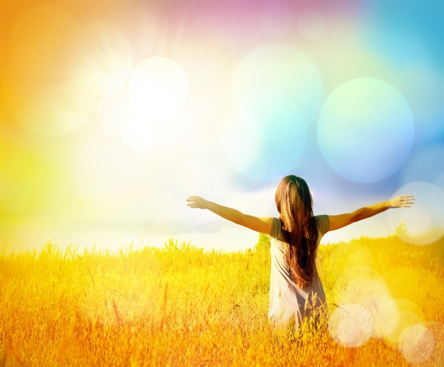 abundance-experience