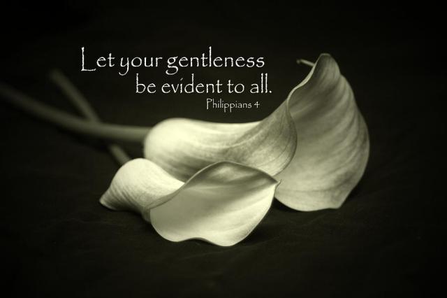 let-your-gentleness-be-evident