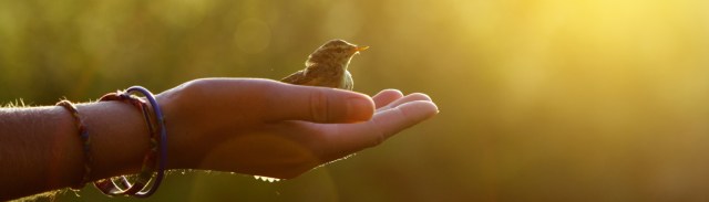 kindness-and-compassion