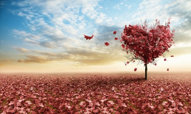 heart-shaped-tree-with-red-leaves-small