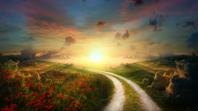 sun_poppy_path_landscape-hd