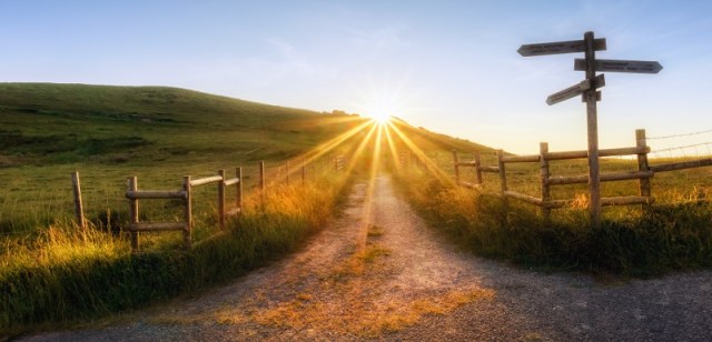 wooden signpost near a path and sunrays