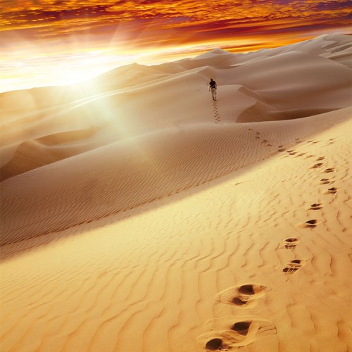 Desert-Footprints-sq-500x500