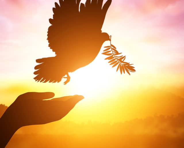 international-day-of-peace-640x514